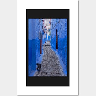 Alley Cat, Chefchaouen. Posters and Art